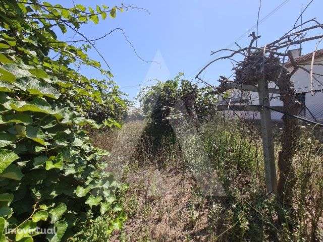 Terreno para construção no centro de Bustos - Grande imagem: 3/4