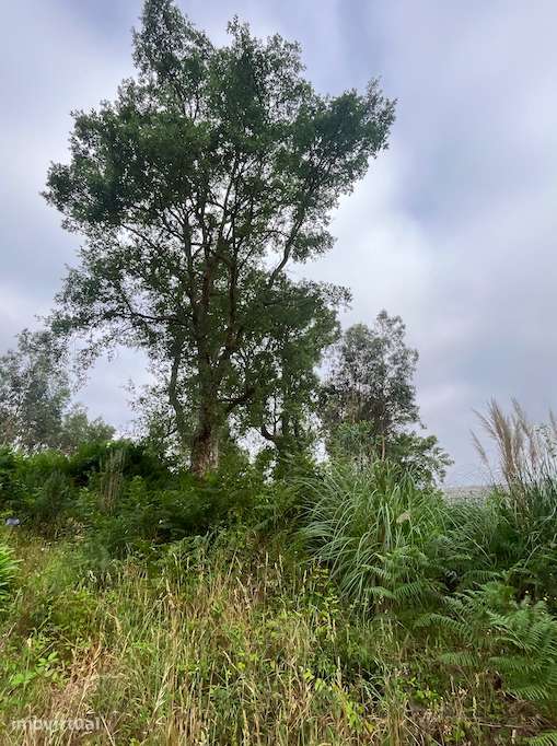 Terreno Para Construção  Venda em Serzedo e Perosinho,Vila Nova de Gai - Grande imagem: 4/13