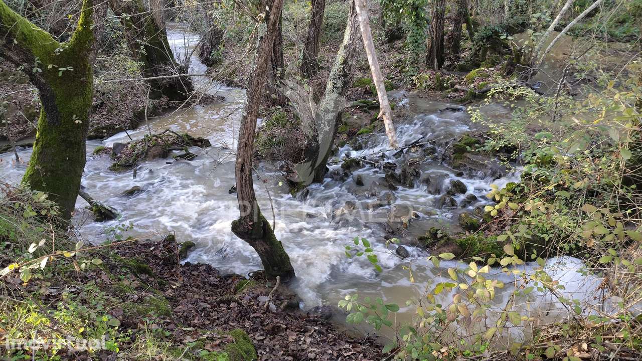 Quinta de 11 hectares com uma ribeira em Boavista dos Pinheiros - Grande imagem: 3/32