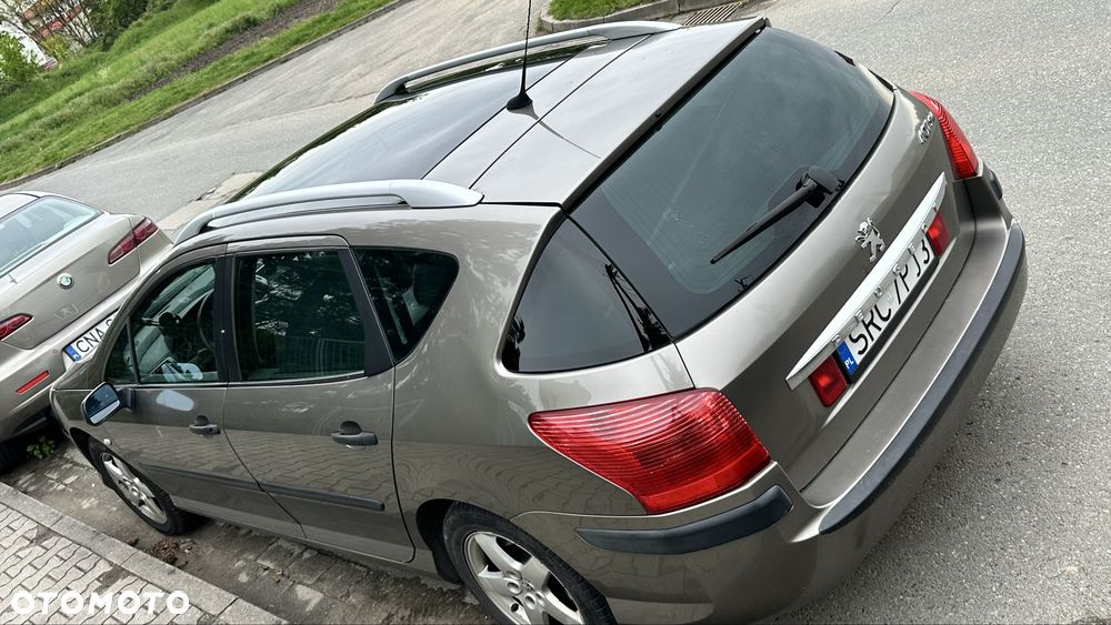 Peugeot 407 - 8
