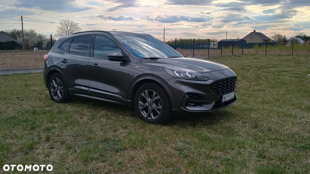 Ford Kuga 2.0 EcoBlue Hybrid ST-LINE X - 13