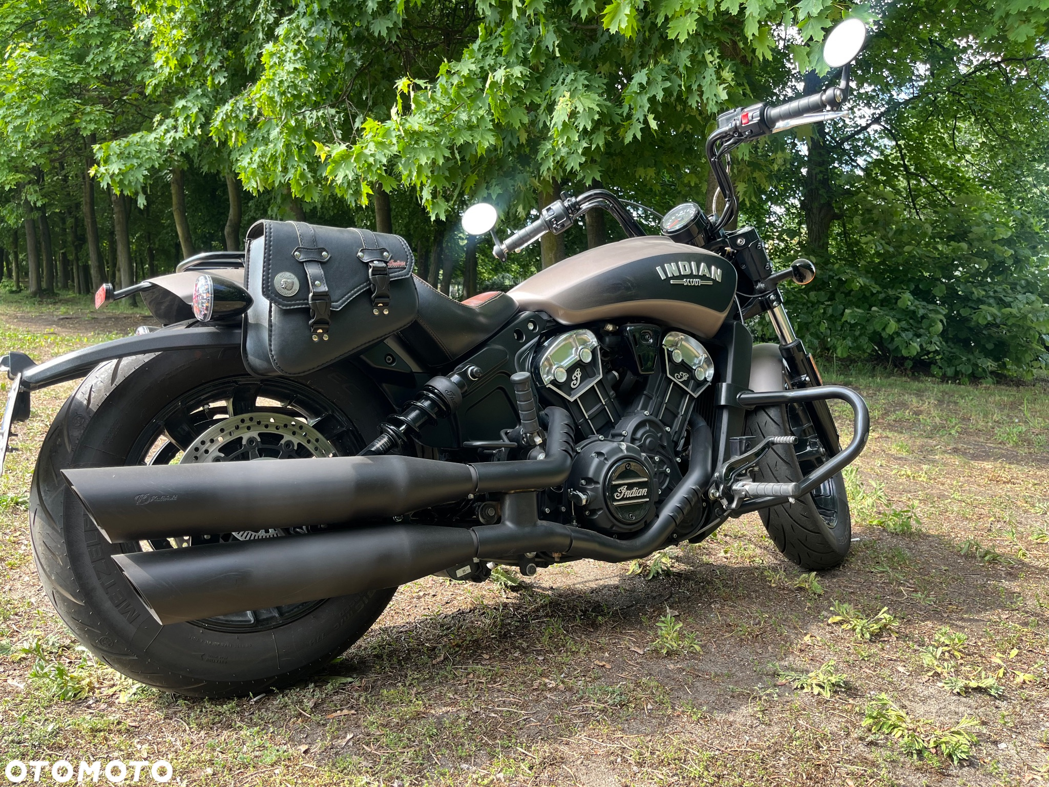 Indian Scout - 4