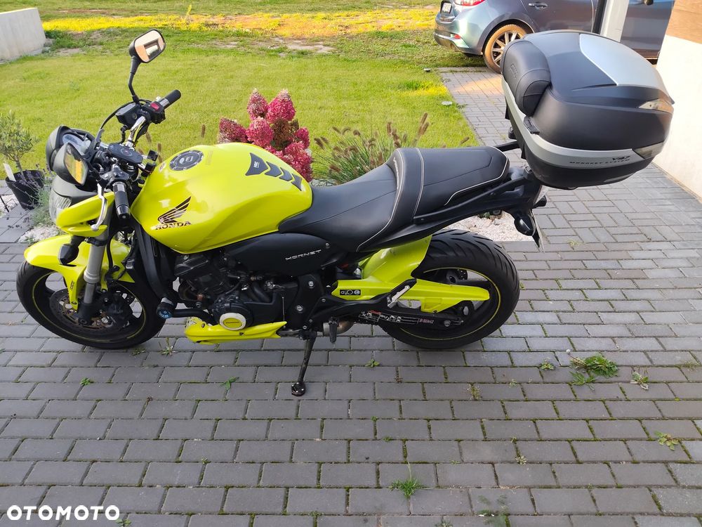 Honda Hornet