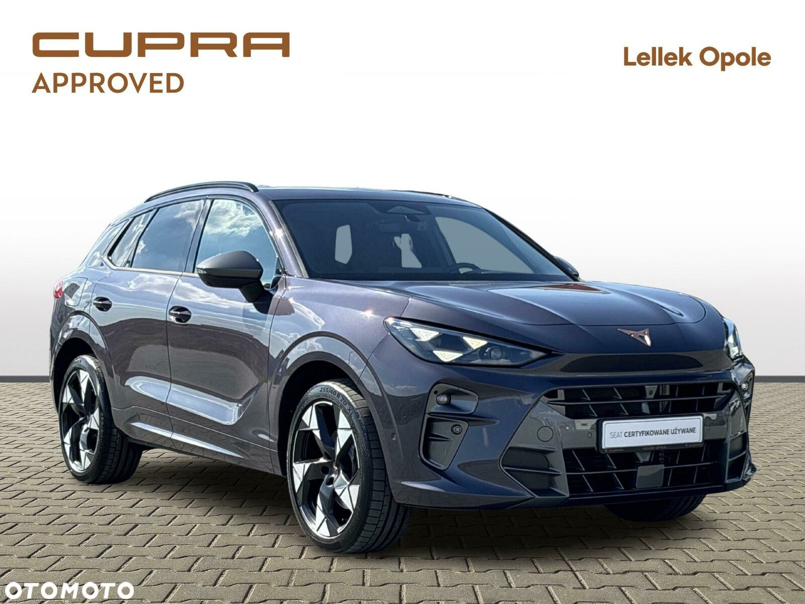 Cupra Terramar 2.0 TSI 4Drive VZ DSG - 7
