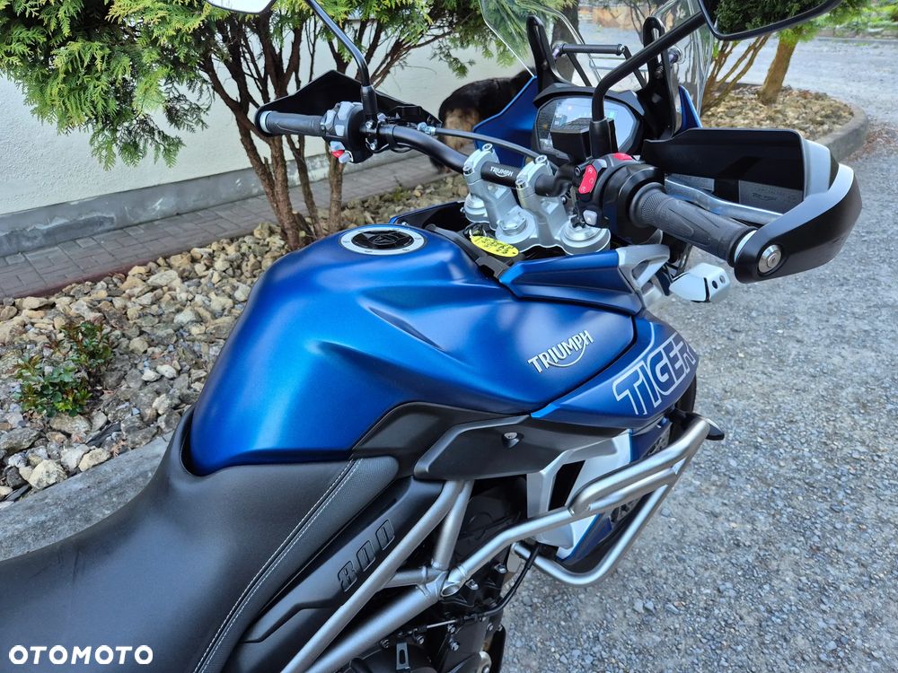 Triumph Tiger - 12