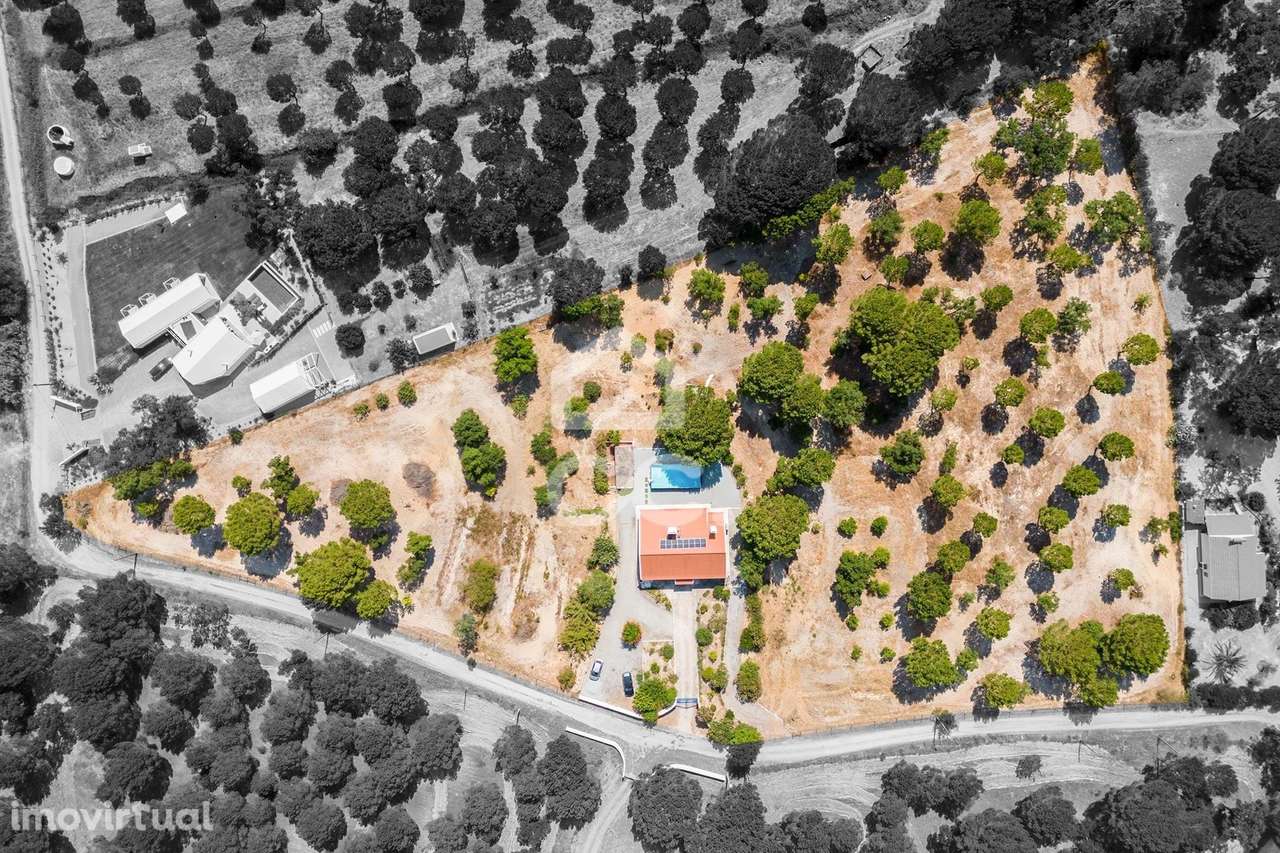 Quinta de 1,6 ha c/ Moradia T5  | Lavre (Montemor-o-Novo) - Grande imagem: 5/60