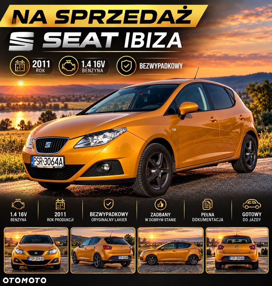 Seat Ibiza - 1