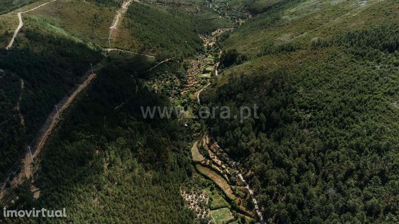 Terreno Rústico / Fundão, Bogas de Cima - Grande imagem: 4/14