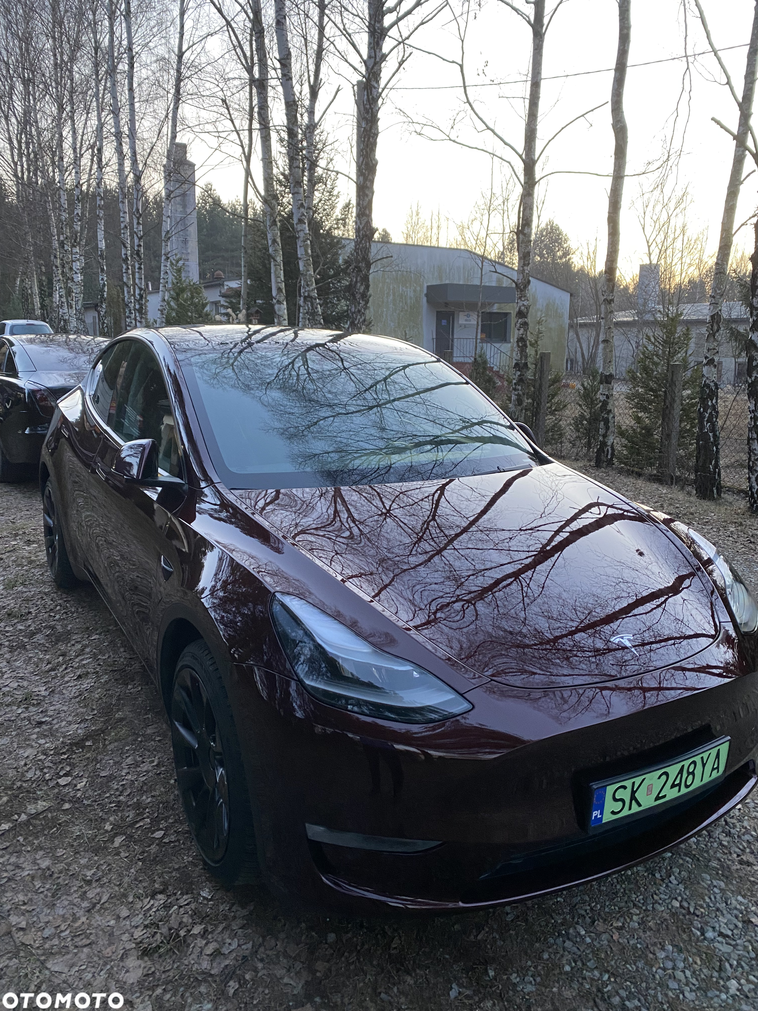 Tesla Y Long Range AWD - 24
