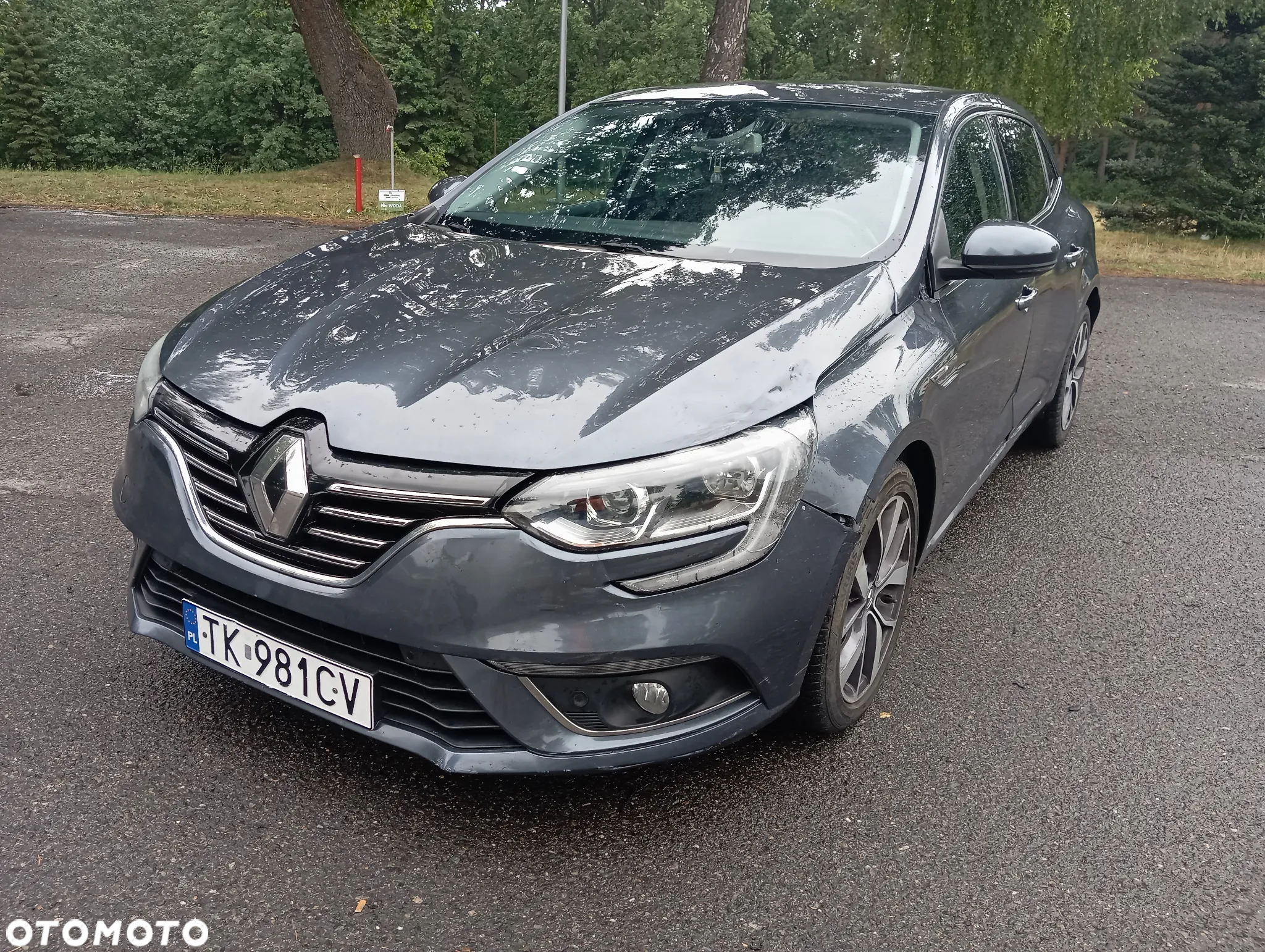 Renault Megane 1.6 dCi Intens - 2