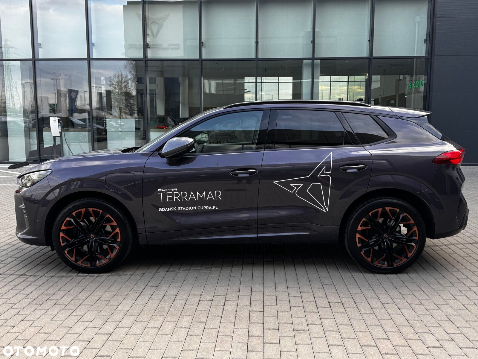 Cupra Terramar - 11