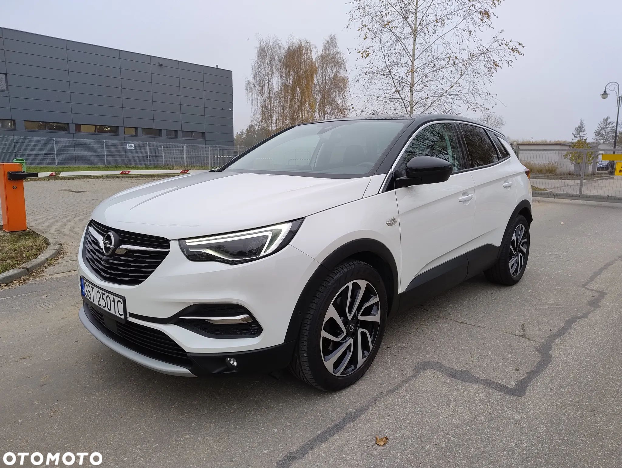 Opel Grandland X 1.6 CDTI Ultimate S&S - 1