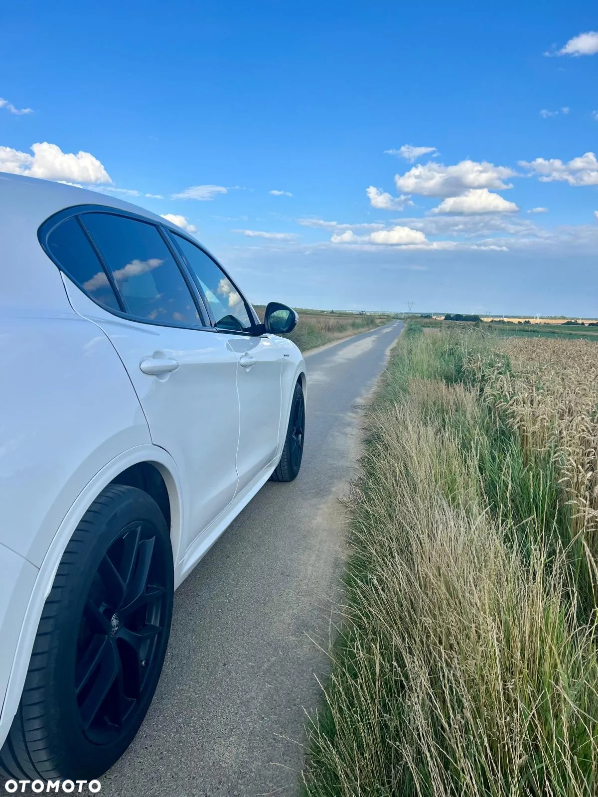 Alfa Romeo Stelvio 2.0 Turbo Veloce Q4 - 13