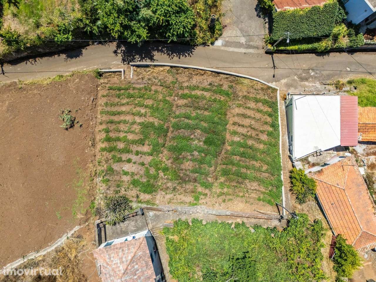 Terreno Plano, Ponta do Pargo, Calheta. - Grande imagem: 3/19