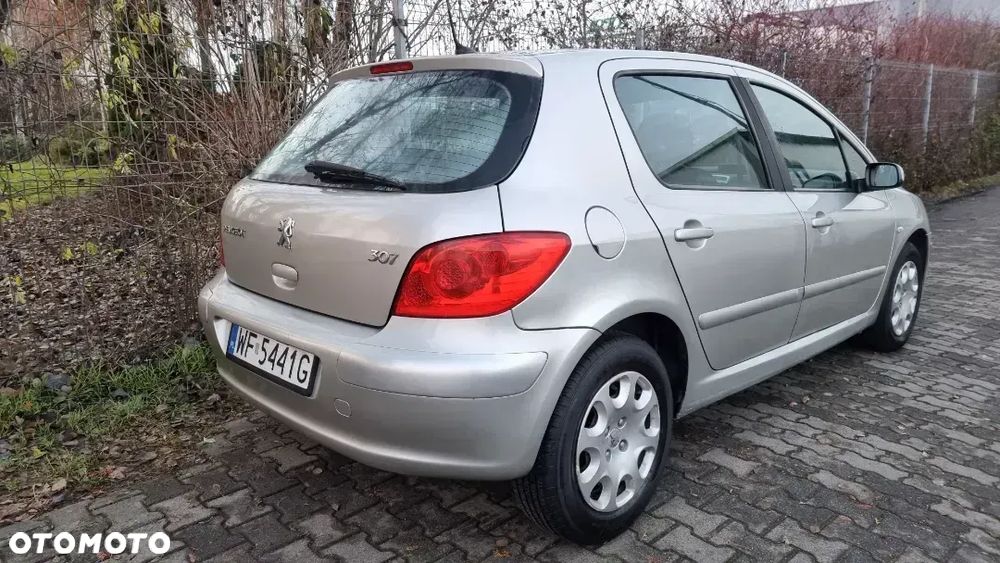 Peugeot 307 1.4 Presence - 20