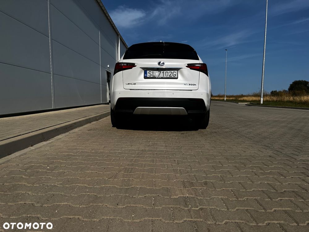 Lexus NX 300h F Sport AWD - 8