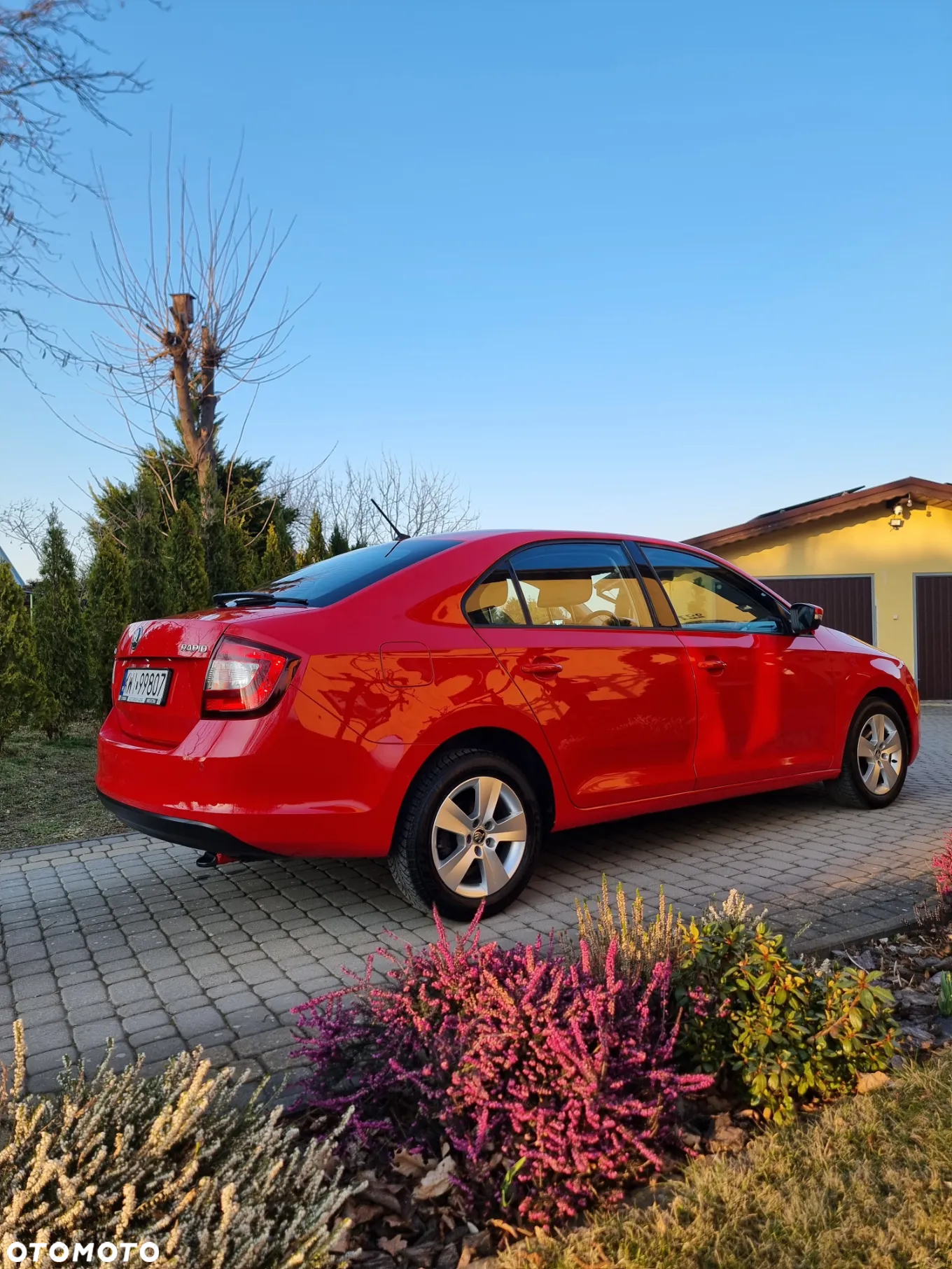 Skoda RAPID 1.0 TSI Ambition - 8