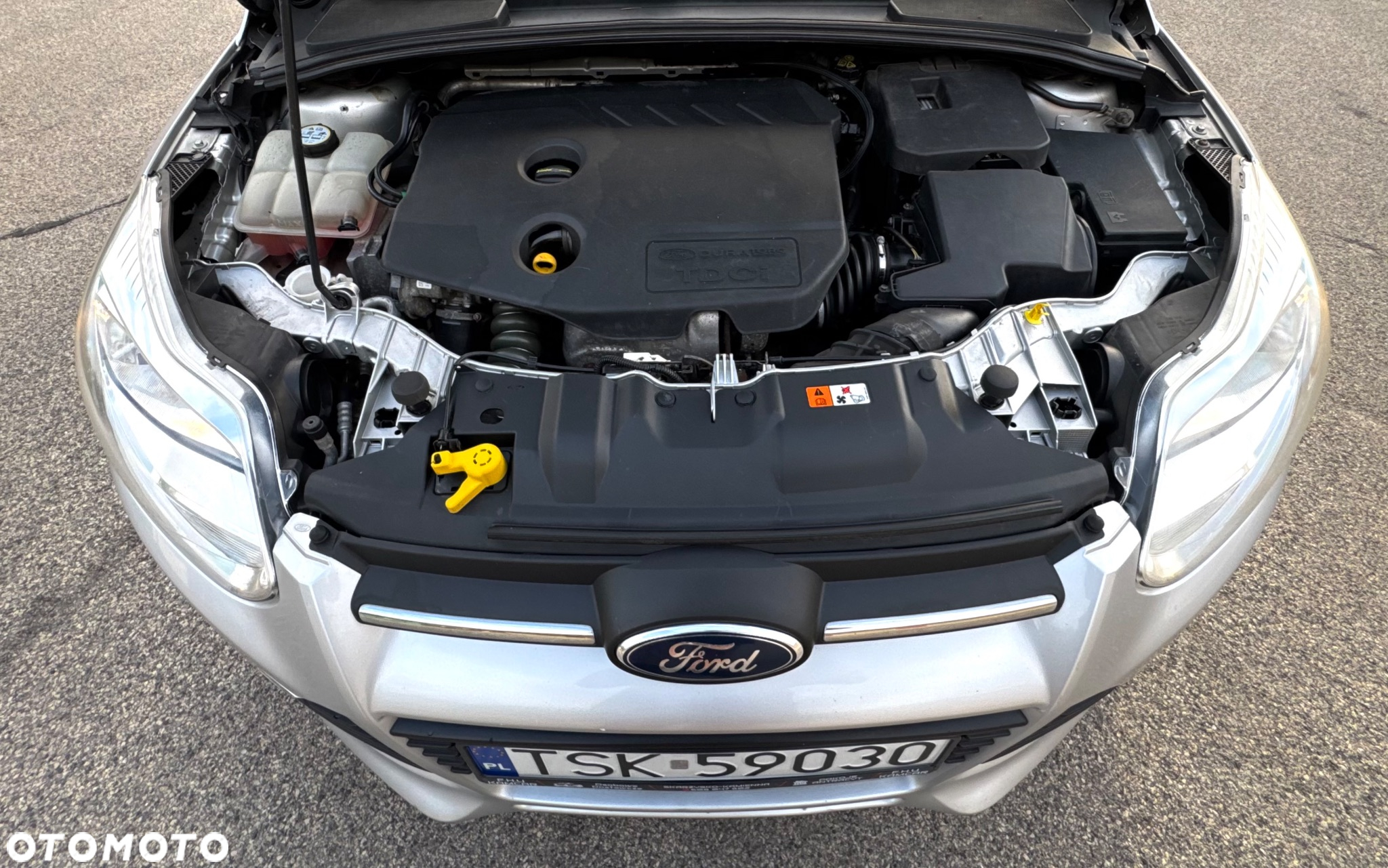 Ford Focus 1.6 TDCi Trend - 8