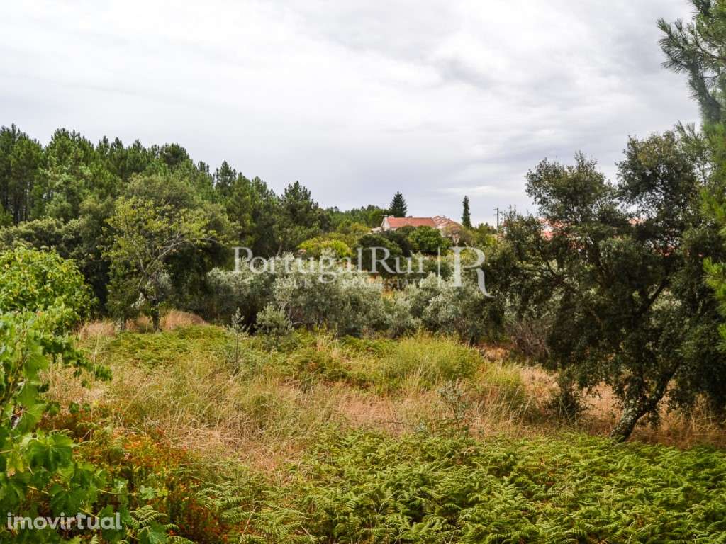 Terreno para Construção em Proença-a-Nova - Grande imagem: 4/17