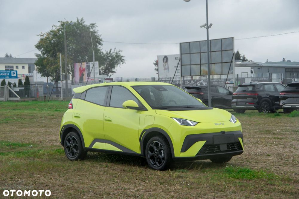 BYD Dolphin Surf - 9