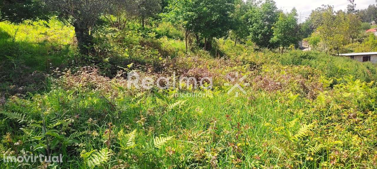 Terreno c/ Viabilidade Construtiva em Ruivães - Vieira do Minho - Grande imagem: 5/19