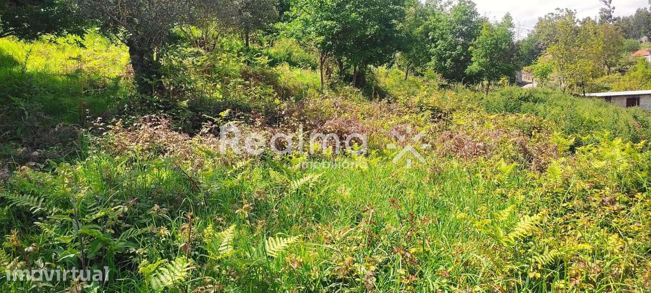 Terreno c/ Viabilidade Construtiva em Ruivães - Vieira do Minho - Grande imagem: 5/19