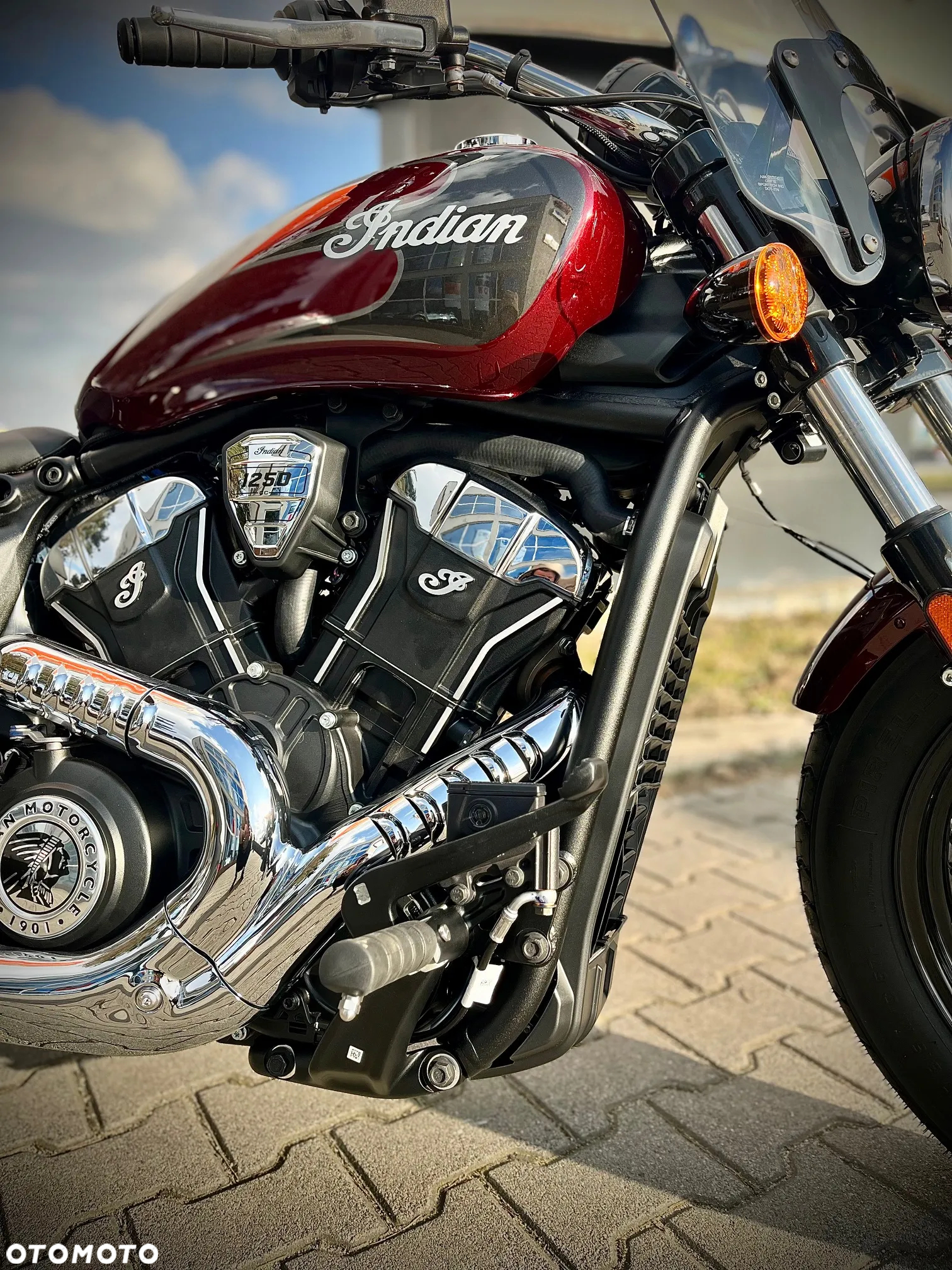 Indian Scout - 7