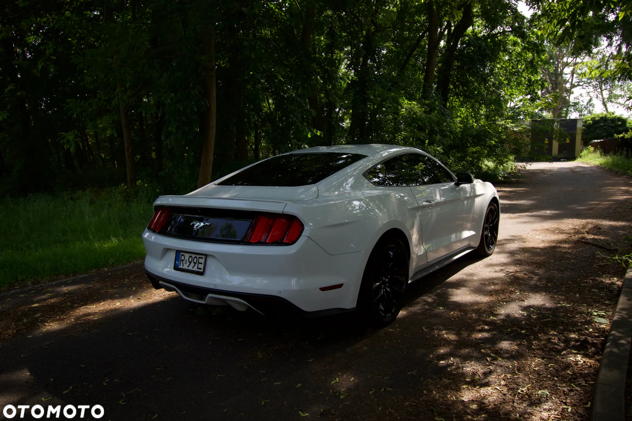Ford Mustang 2.3 Eco Boost - 6