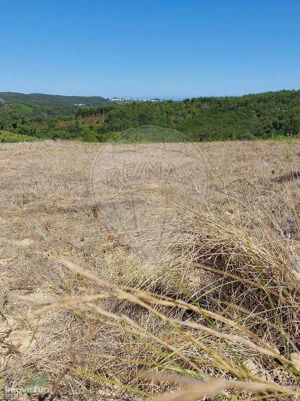 Terreno  para venda - Grande imagem: 5/7