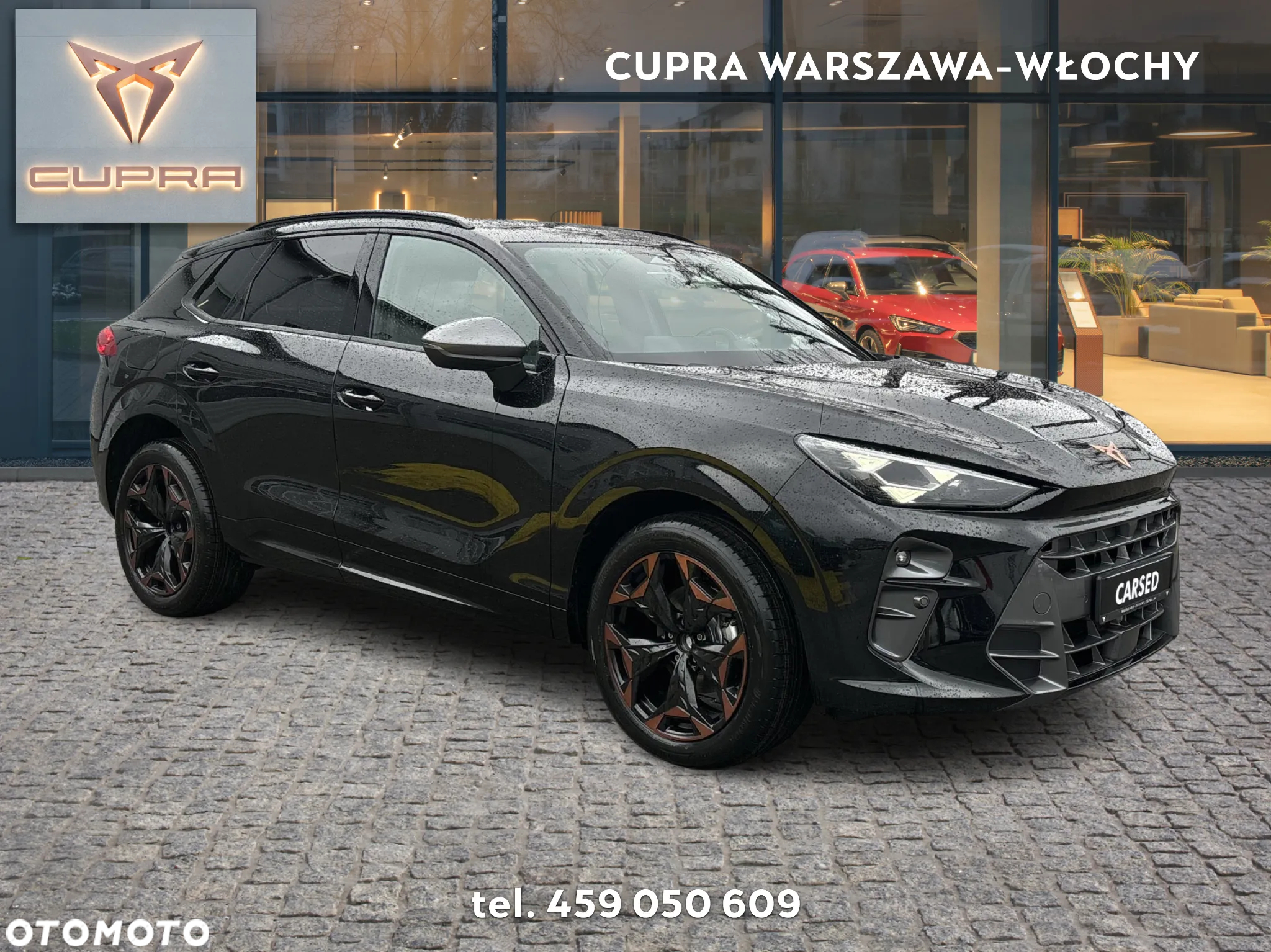 Cupra Terramar 2.0 TSI 4Drive DSG - 7