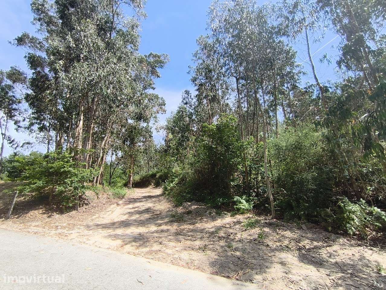Terreno urbano, em Regadas, Fafe - Grande imagem: 2/16