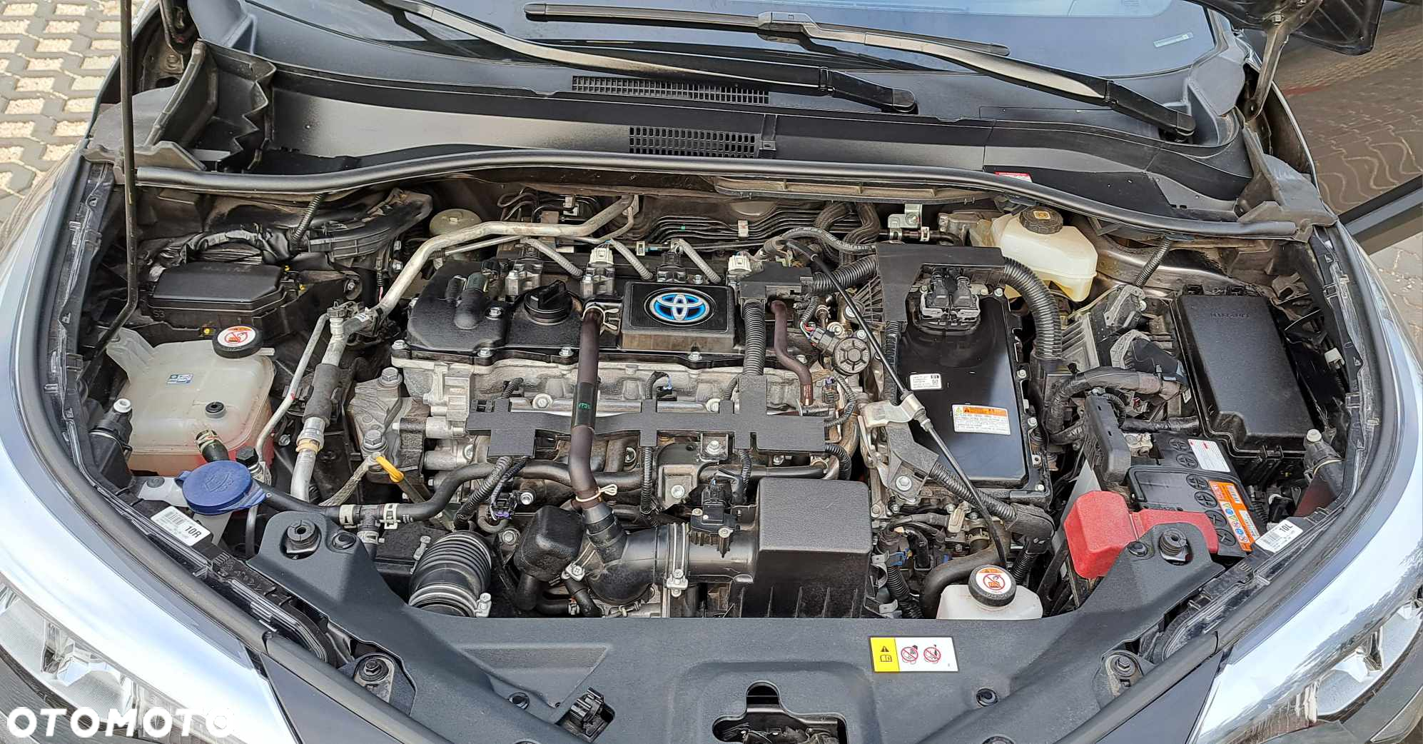 Toyota C-HR - 9
