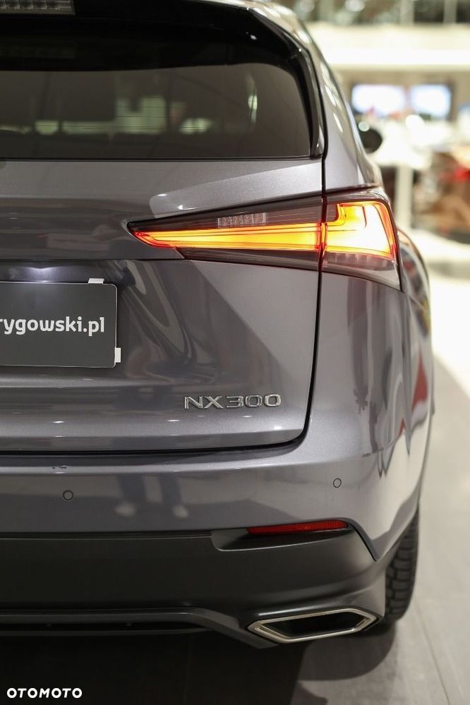 Lexus NX - 12