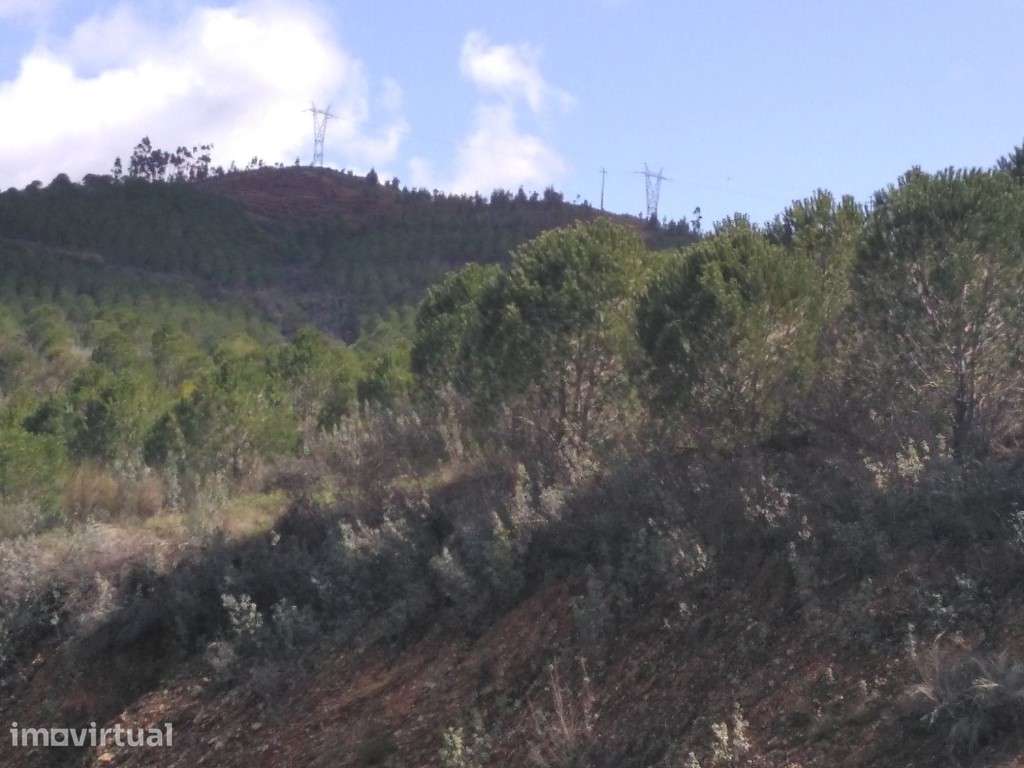 Terreno em São Marcos da Serra com 51,7795 Ha - Grande imagem: 2/10
