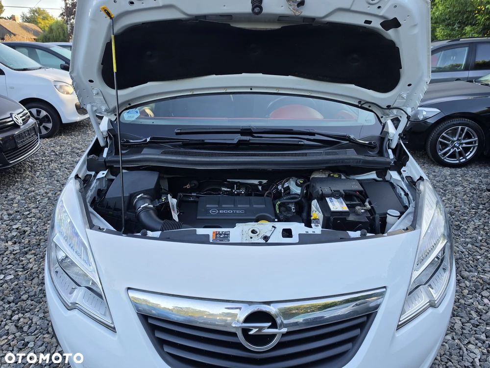 Opel Meriva 1.4 Ecoflex Color Edition - 17