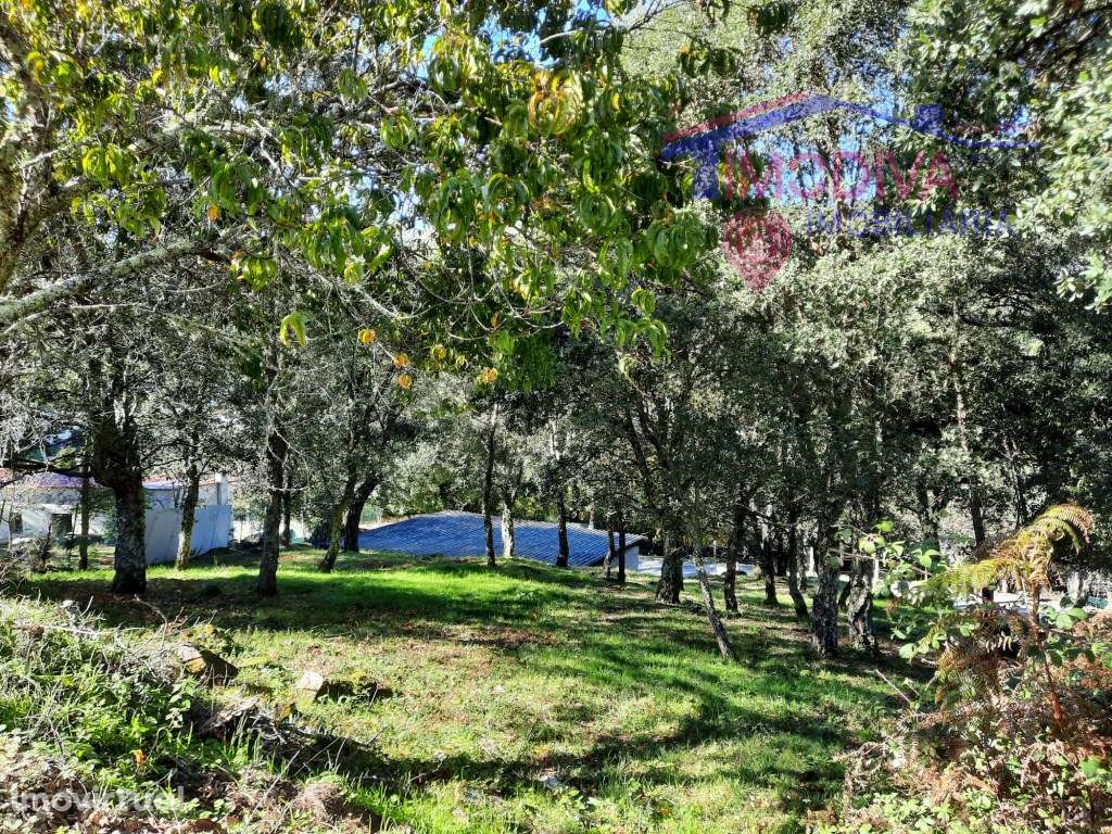 Edifício para transformar, em Figueiró dos Vinhos - Grande imagem: 3/8