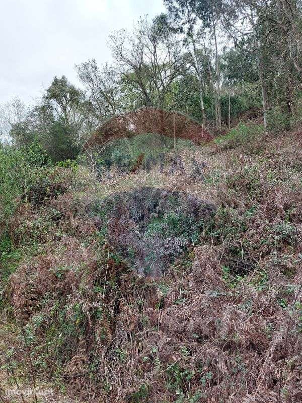 Terreno  para venda - Grande imagem: 4/11