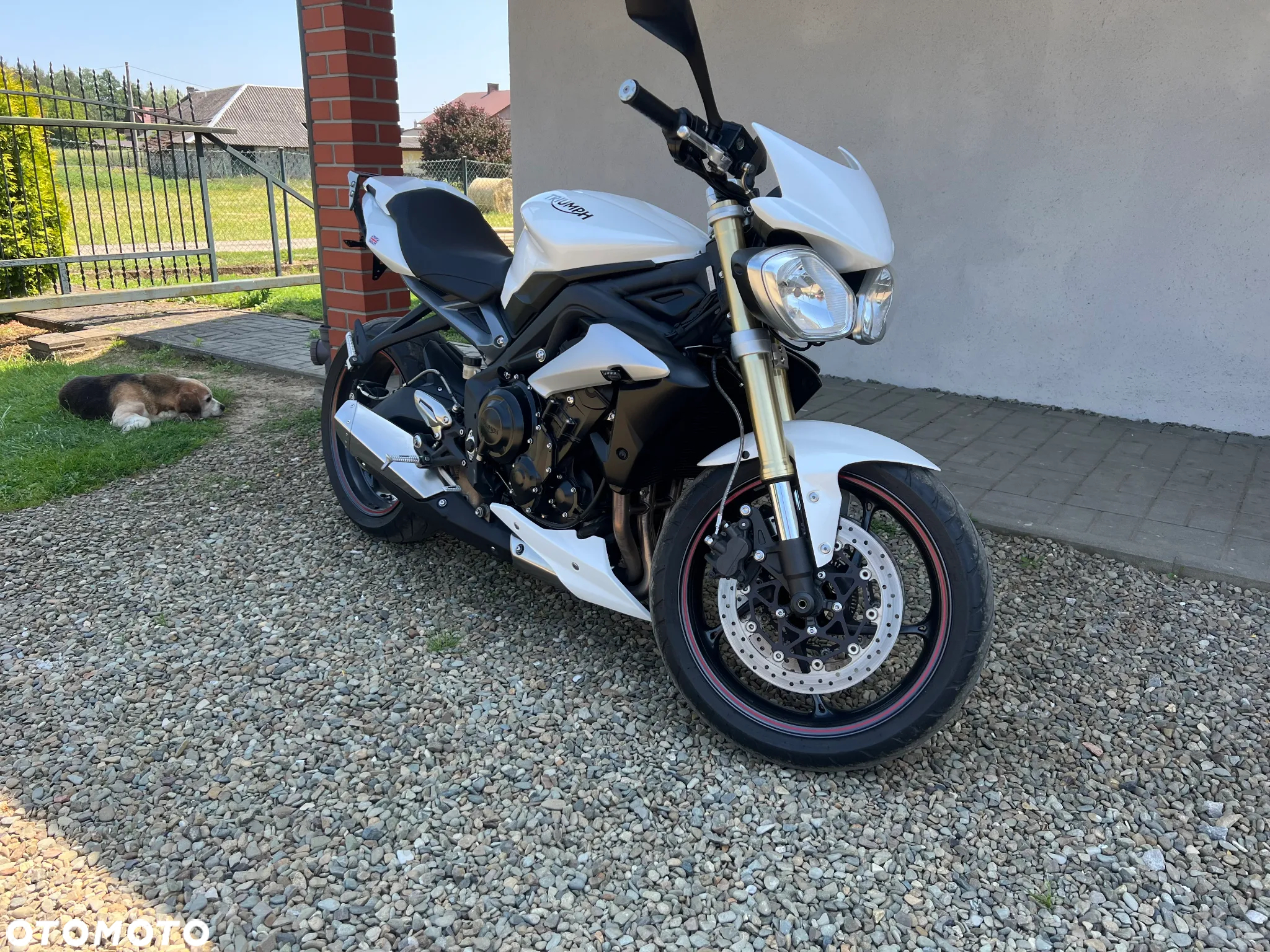 Triumph Street Triple - 2