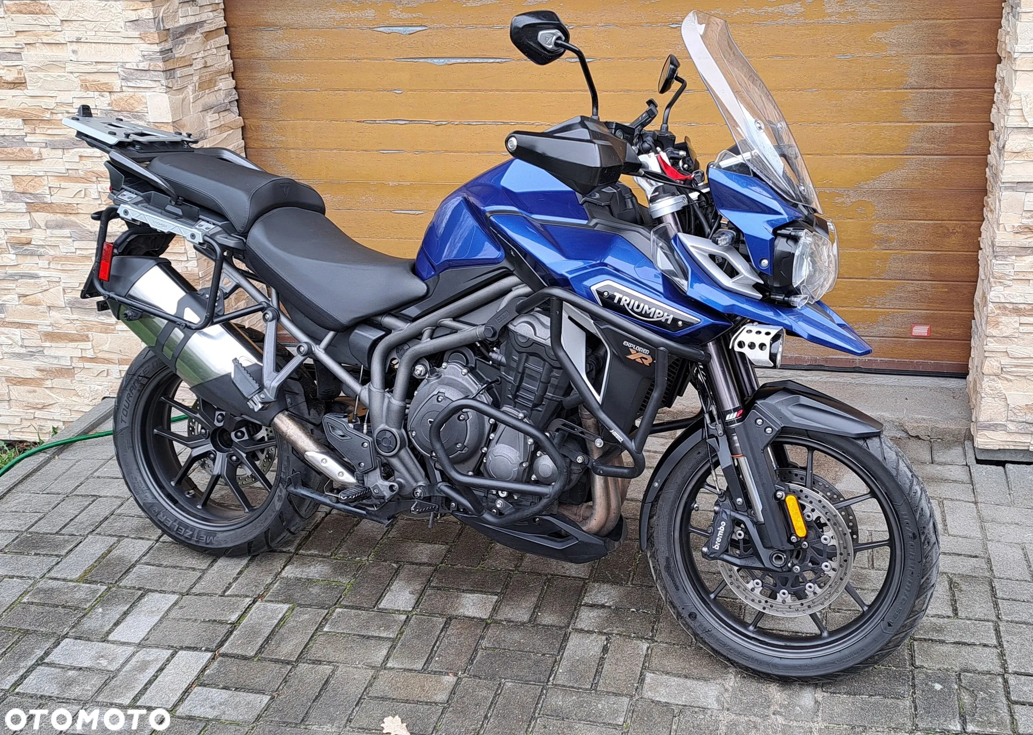 Triumph Tiger - 7