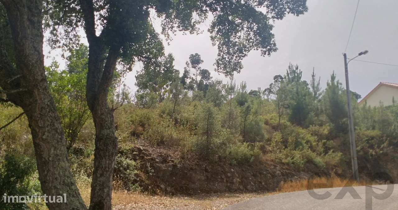 Sardoal, Entrevinhas - terreno urbanizável - Grande imagem: 4/9