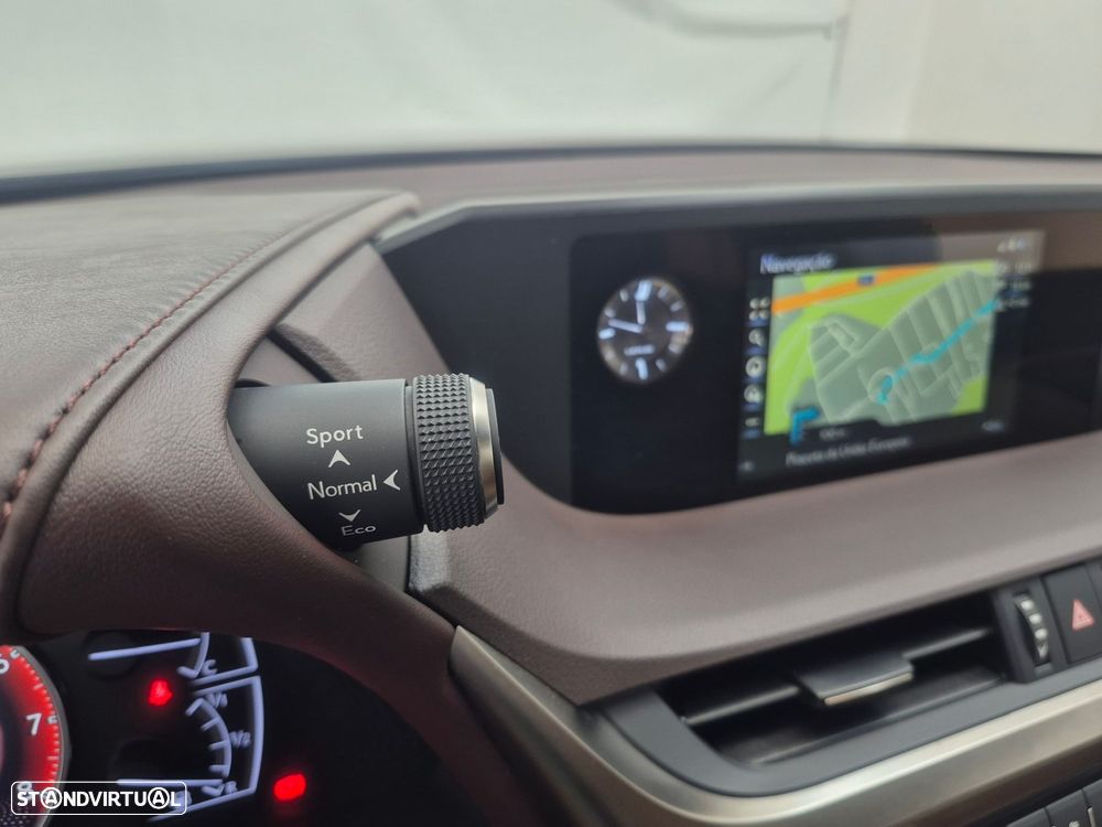 Lexus ES 300h Special Edition - 15