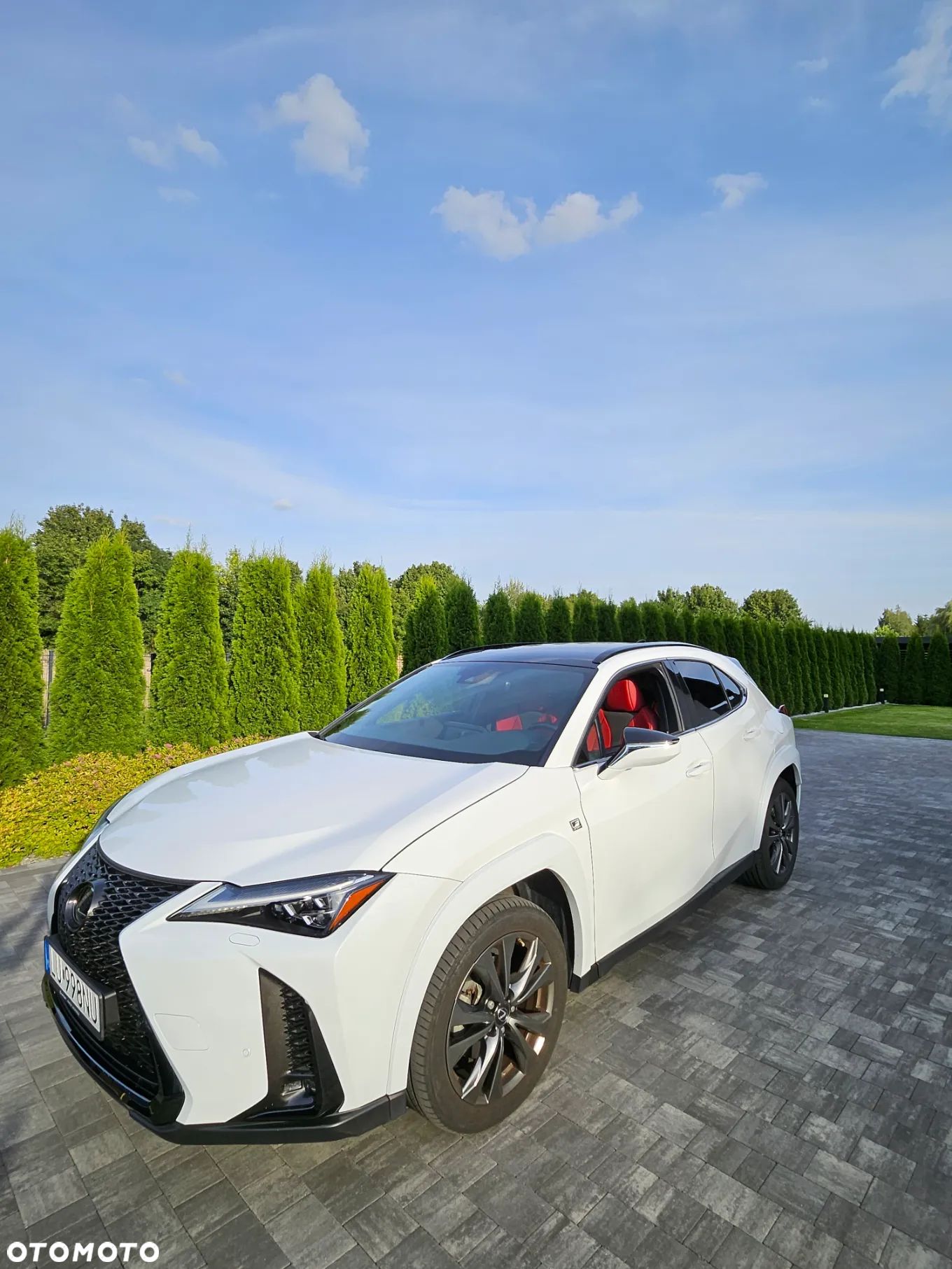 Lexus UX 250h GPF F Sport 2WD - 1