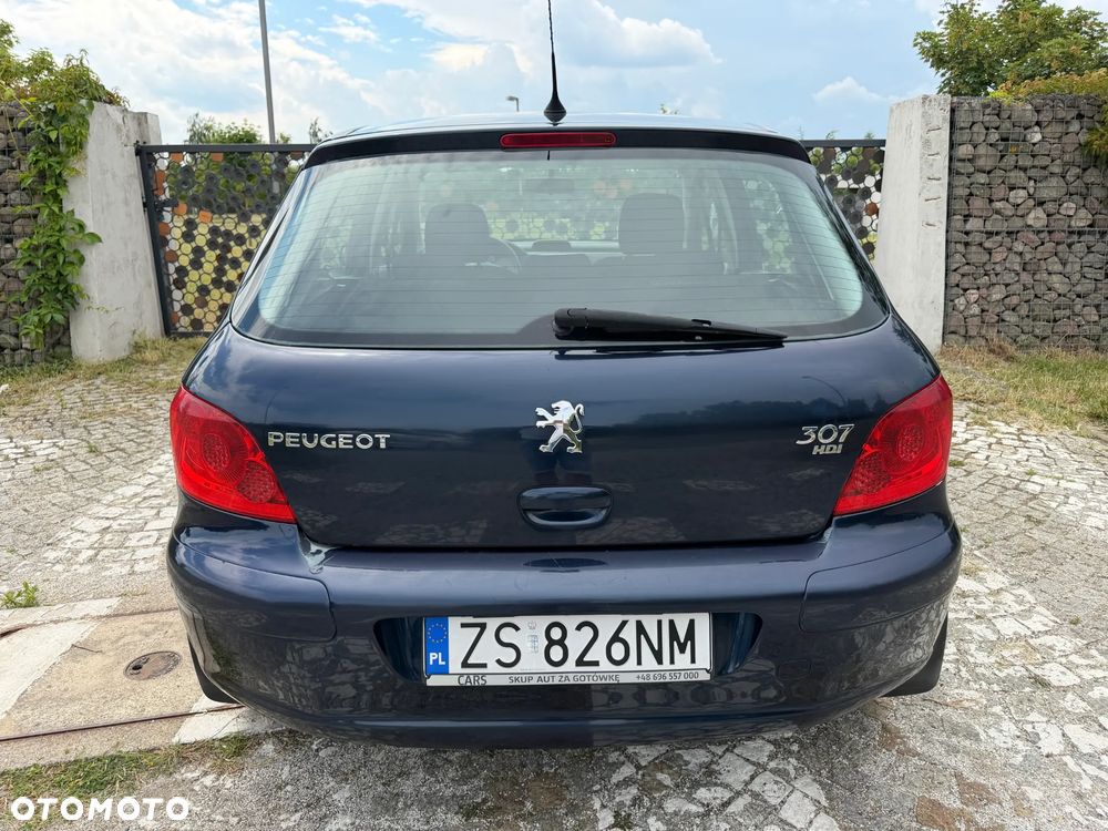 Peugeot 307 HDi 90 Filou - 16