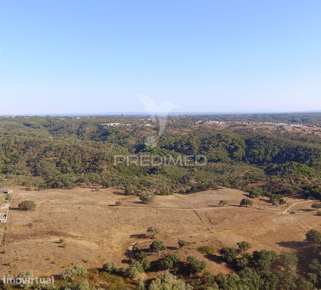 Terreno rustico com 16,85 hectares a 10 minutos de Melides - Grande imagem: 3/12