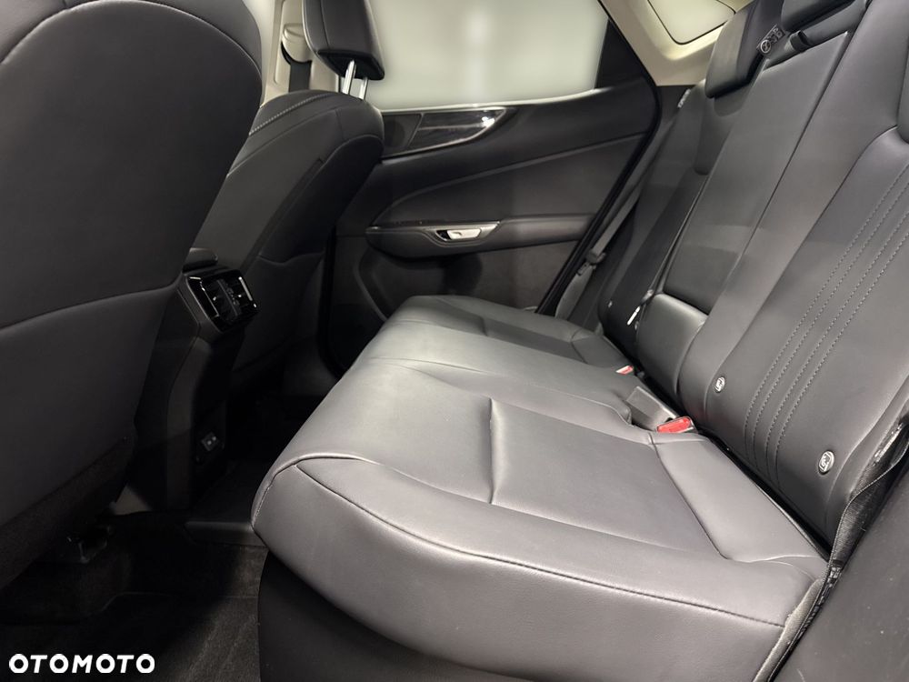 Lexus NX - 10