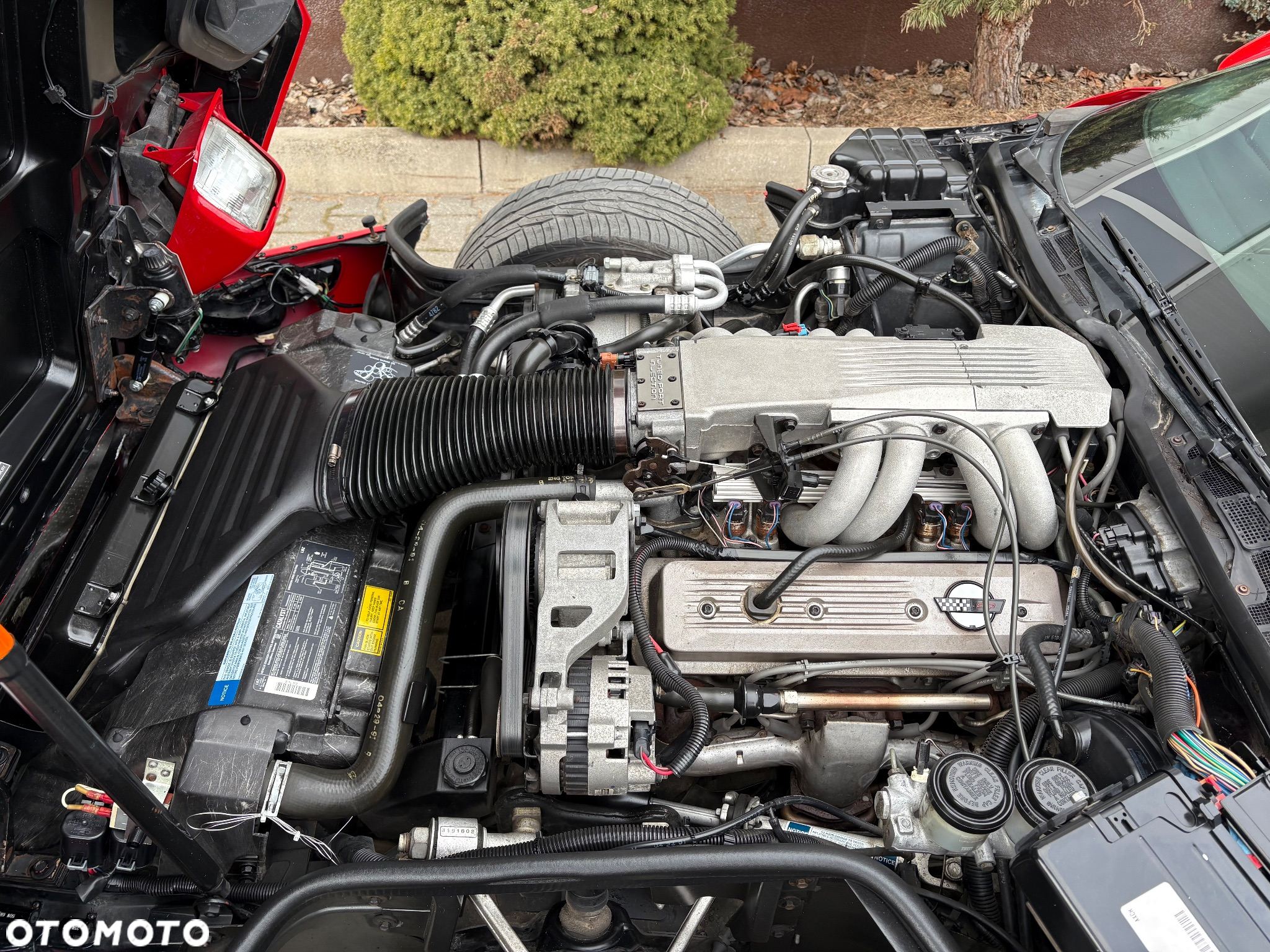 Chevrolet Corvette 5.7 - 11