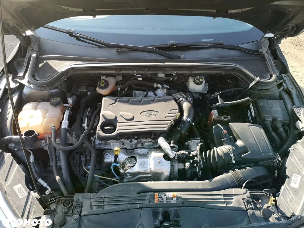 Ford Focus 1.5 EcoBlue Start-Stopp-System ACTIVE STYLE - 19