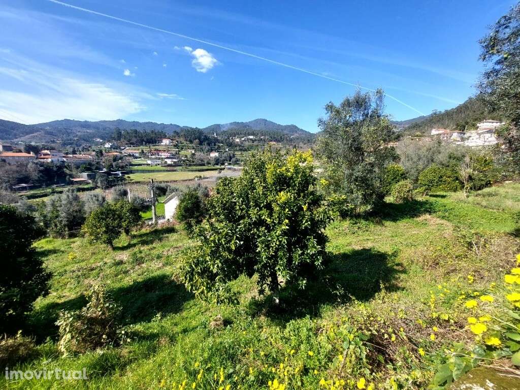 Terreno - Goães - Grande imagem: 2/8