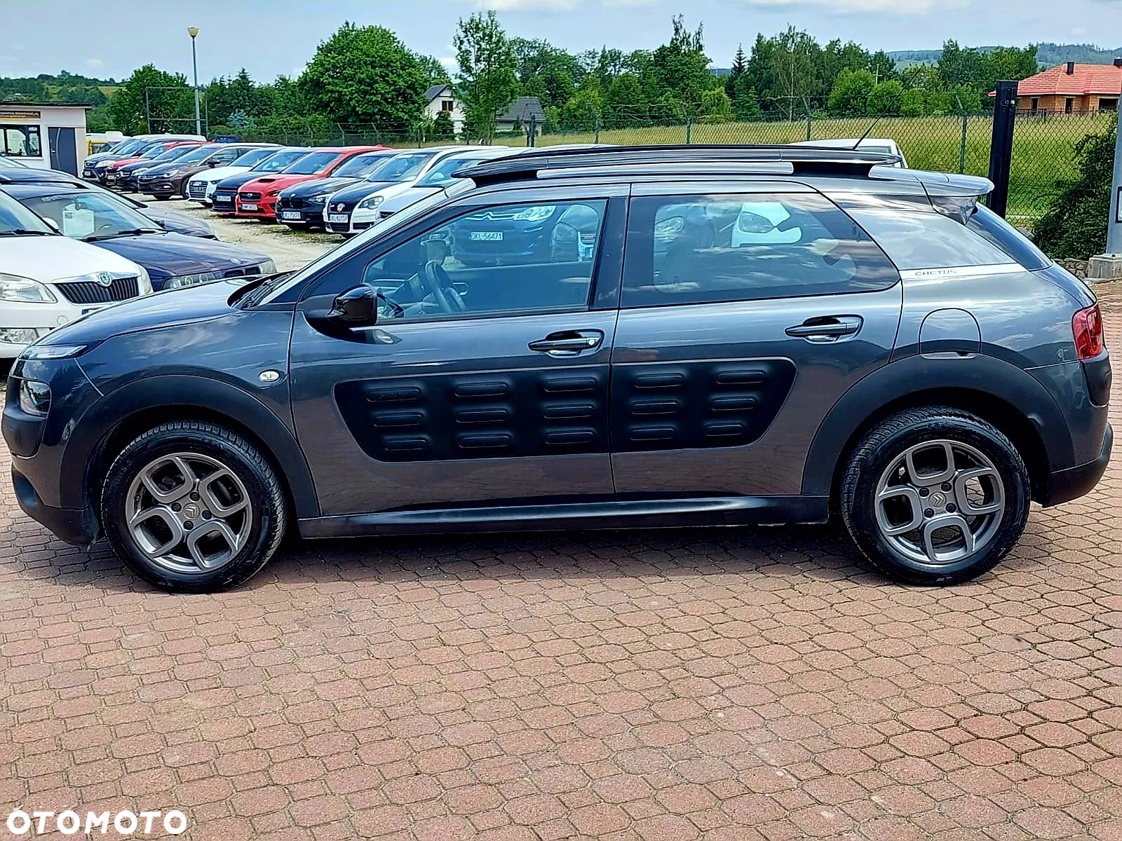 Citroën C4 Cactus PureTech 82 Business Class - 2
