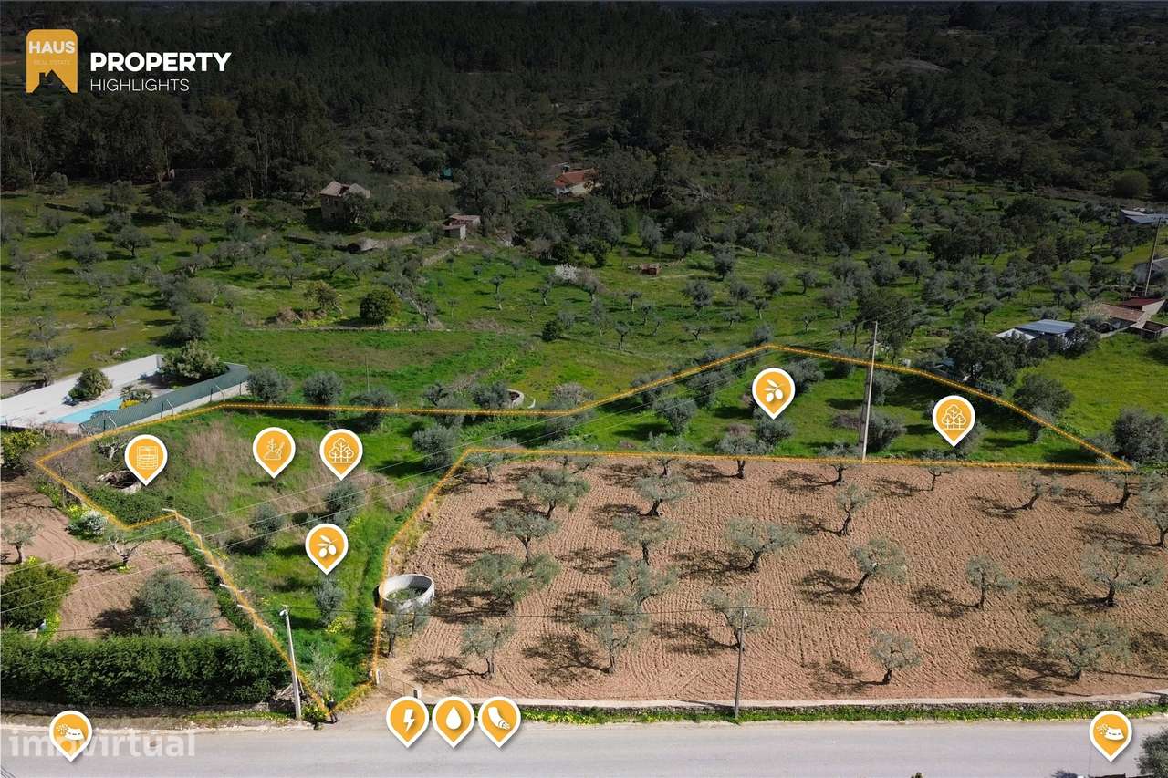 Terreno 2.680m² | Poço e Olival | Palvarinho, Castelo Branco - Grande imagem: 4/20